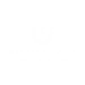 Web Designer VIP